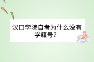 漢口學院自考為什么沒有學籍號？