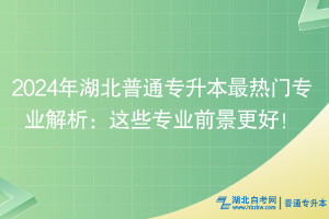 2024年湖北普通專(zhuān)升本最熱門(mén)專(zhuān)業(yè)解析：這些專(zhuān)業(yè)前景更好！