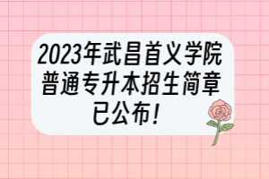 2023年武昌首義學(xué)院普通專升本招生簡(jiǎn)章已公布！