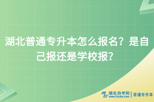 湖北普通專升本怎么報名？是自己報還是學(xué)校報？