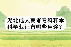 湖北成人高考?？坪捅究飘厴I(yè)證有哪些用途？