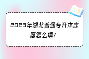 2023年湖北普通專升本志愿怎么填？