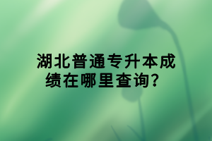 湖北普通專升本成績在哪里查詢？