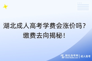 湖北成人高考學(xué)費(fèi)會(huì)漲價(jià)嗎？繳費(fèi)去向揭秘！