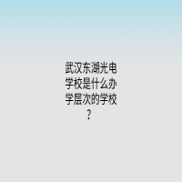 武漢東湖光電學(xué)校是什么辦學(xué)層次的學(xué)校？