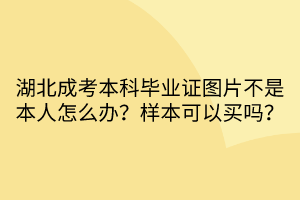 湖北成考本科畢業(yè)證圖片不是本人怎么辦？樣本可以買嗎？
