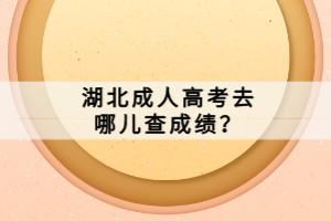 湖北成人高考去哪兒查成績？