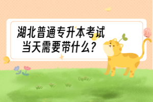 湖北普通專升本考試當(dāng)天需要帶什么？
