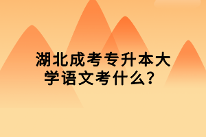 湖北成考專升本大學(xué)語(yǔ)文考什么？