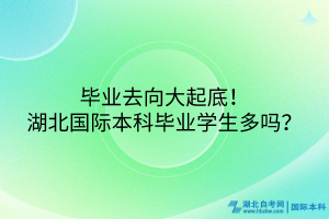 畢業(yè)去向大起底！湖北國際本科畢業(yè)學(xué)生多嗎？