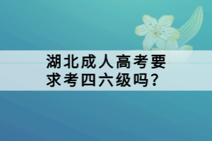 湖北成人高考要求考四六級嗎？