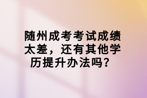 隨州成考考試成績太差，還有其他學(xué)歷提升辦法嗎？