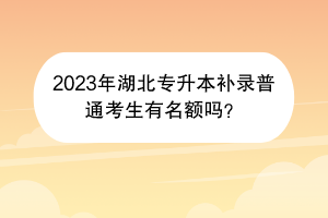 2023年湖北專升本補(bǔ)錄普通考生有名額嗎？