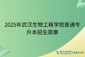 2025年武漢生物工程學(xué)院普通專(zhuān)升本招生簡(jiǎn)章
