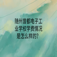 隨州曾都電子工業(yè)學(xué)校學(xué)費(fèi)情況是怎么樣的？