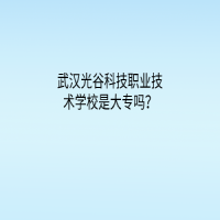 武漢光谷科技職業(yè)技術(shù)學(xué)校是大專嗎？