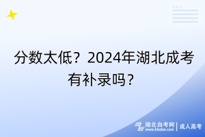 分數(shù)太低？2024年湖北成考有補錄嗎？