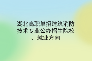 湖北高職單招建筑消防技術(shù)專業(yè)公辦招生院校、就業(yè)方向