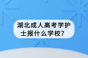 湖北成人高考學(xué)護士報什么學(xué)校？