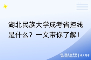 湖北民族大學成考省控線是什么？一文帶你了解！