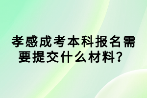 孝感成考本科報名需要提交什么材料？