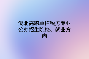 湖北高職單招稅務(wù)專業(yè)公辦招生院校、就業(yè)方向
