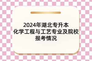 2024年湖北專(zhuān)升本化學(xué)工程與工藝專(zhuān)業(yè)及院校報(bào)考情況