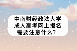 中南財經政法大學成人高考網(wǎng)上報名需要注意什么？