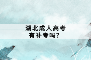 湖北成人高考有補(bǔ)考嗎？