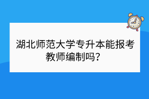 湖北師范大學(xué)專升本能報考教師編制嗎？