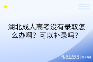 湖北成人高考沒(méi)有錄取怎么辦？可以補(bǔ)錄嗎？