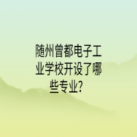 隨州曾都電子工業(yè)學(xué)校開(kāi)設(shè)了哪些專(zhuān)業(yè)？