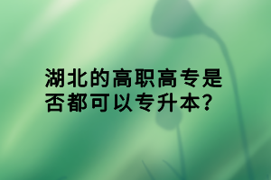 湖北的高職高專是否都可以專升本？