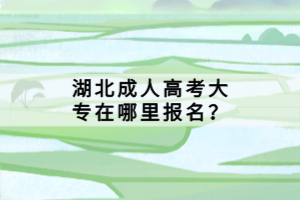 湖北成人高考大專在哪里報名？