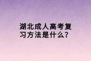 湖北成人高考復(fù)習(xí)方法是什么？