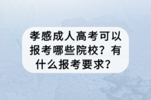 孝感成人高考可以報(bào)考哪些院校？有什么報(bào)考要求？