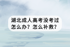 湖北成人高考沒考過怎么辦？怎么補救？