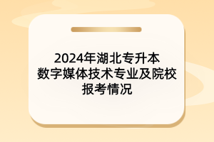 2024年湖北專升本數(shù)字媒體技術專業(yè)及院校報考情況
