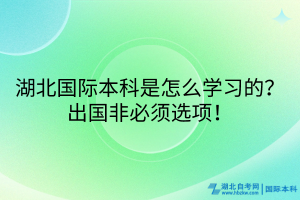 湖北國際本科是怎么學習的？出國非必須選項！