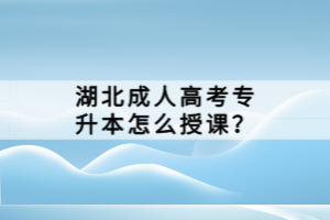 湖北成人高考專升本怎么授課？