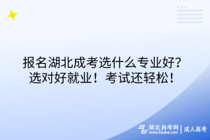報名湖北成考選什么專業(yè)好？選對好就業(yè)！考試還輕松！