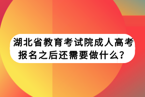 湖北省教育考試院成人高考報名之后還需要做什么？