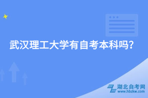 武漢理工大學(xué)有自考本科嗎？