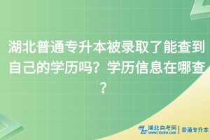 湖北普通專升本被錄取了能查到自己的學(xué)歷嗎？學(xué)歷信息在哪查？