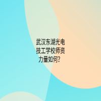 武漢東湖光電技工學(xué)校師資力量如何？