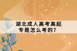 湖北成人高考高起專是怎么考的？