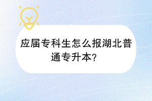 應(yīng)屆?？粕趺磮?bào)湖北普通專升本？