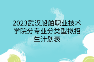 2023武漢船舶職業(yè)技術(shù)學院分專業(yè)分類型擬招生計劃表