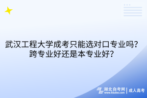 武漢工程大學(xué)成考只能選對口專業(yè)嗎？跨專業(yè)好還是本專業(yè)好？