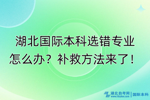 湖北國(guó)際本科選錯(cuò)專(zhuān)業(yè)怎么辦？補(bǔ)救方法來(lái)了！